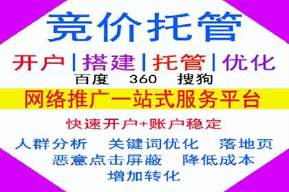 SEM推广实战：成功案例解读与策略调整
